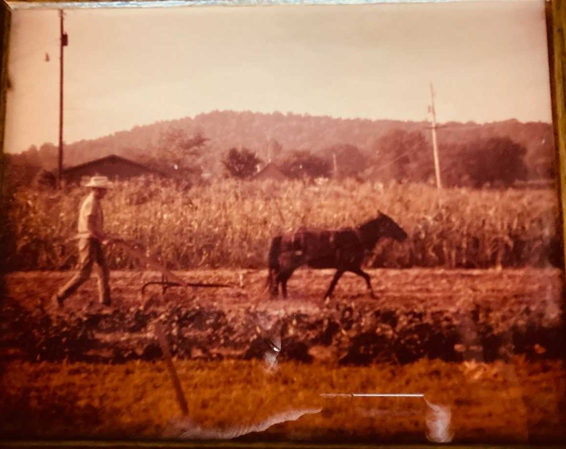 familyfarming - BOPA - BOPA